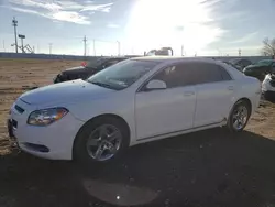 Chevrolet salvage cars for sale: 2009 Chevrolet Malibu 1LT