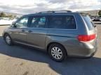 2008 Honda Odyssey EXL