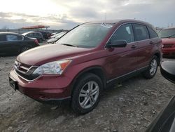 Salvage cars for sale at Cahokia Heights, IL auction: 2010 Honda CR-V EX