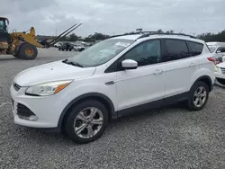 Ford Vehiculos salvage en venta: 2014 Ford Escape SE