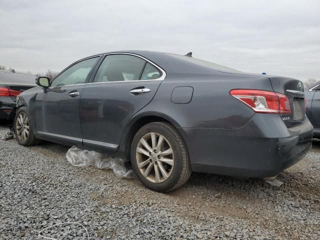 2010 Lexus ES 350