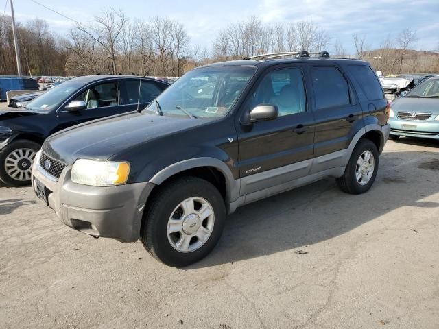 2001 Ford Escape XLT