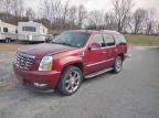 2011 Cadillac Escalade Luxury