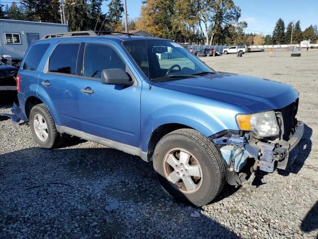 2009 Ford Escape XLT