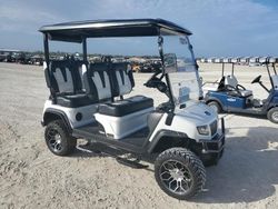 2024 Hdkp Golf Cart en venta en Arcadia, FL