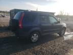 2004 Honda CR-V EX