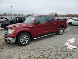 Salvage cars for sale at Fort Wayne, IN auction: 2013 Ford F150 Supercrew