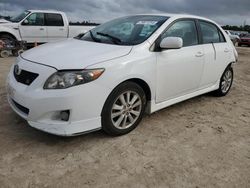 Salvage cars for sale at Houston, TX auction: 2010 Toyota Corolla Base