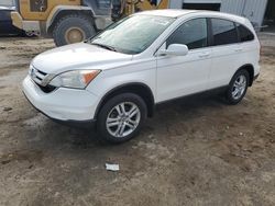 2010 Honda CR-V EXL en venta en Jacksonville, FL