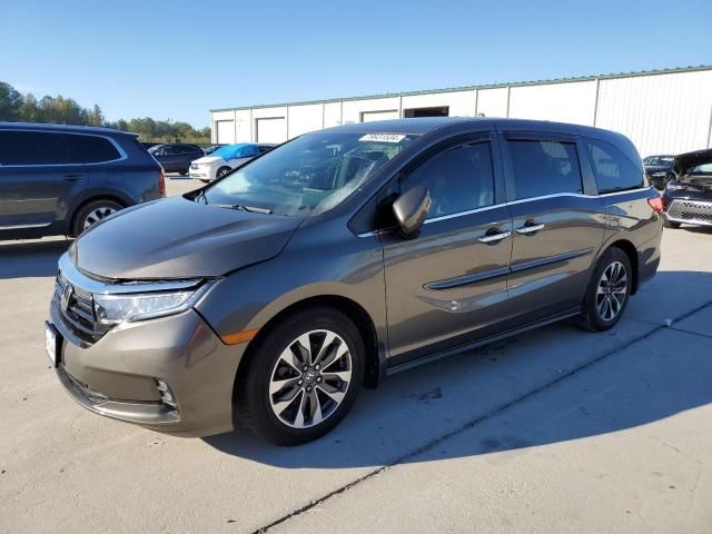 2021 Honda Odyssey EXL