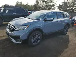 Honda cr-v ex salvage cars for sale: 2020 Honda CR-V EX