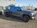 2024 Toyota Tundra Crewmax Limited