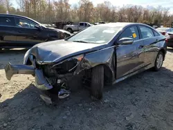 Carros con verificación Run & Drive a la venta en subasta: 2014 Hyundai Sonata GLS