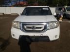 2009 Honda Pilot EXL