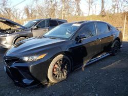 Flood-damaged cars for sale at auction: 2023 Toyota Camry TRD