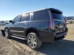 2015 Cadillac Escalade Luxury