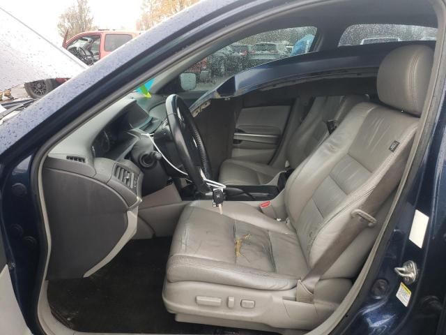 2008 Honda Accord EXL