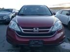 2010 Honda CR-V EXL