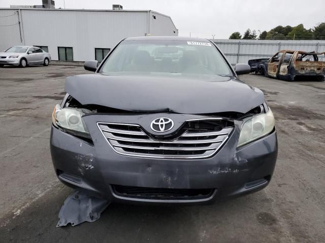 2009 Toyota Camry Hybrid