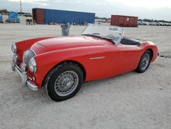 Salvage Cars with No Bids Yet For Sale at auction: 1956 Austin Healy