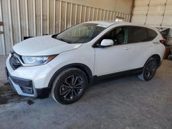 Salvage cars for sale at Abilene, TX auction: 2020 Honda CR-V EX