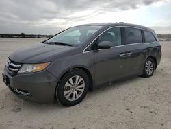 Salvage cars for sale at San Antonio, TX auction: 2014 Honda Odyssey EXL