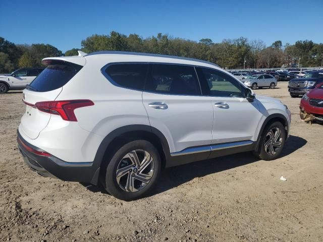 2023 Hyundai Santa FE SEL Premium