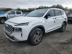 Salvage Cars with No Bids Yet For Sale at auction: 2023 Hyundai Santa FE SEL Premium