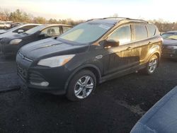 Ford salvage cars for sale: 2013 Ford Escape SE