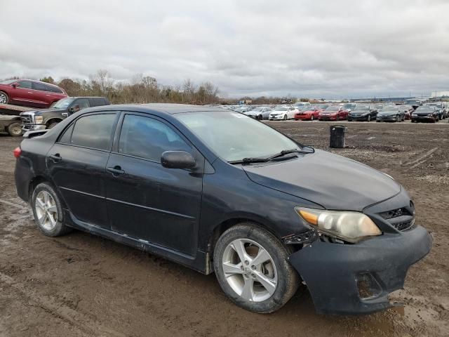 2011 Toyota Corolla Base