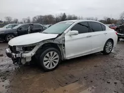 Salvage cars for sale from Copart Chalfont, PA: 2013 Honda Accord EX