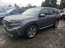 2023 Honda Pilot EXL en venta en Graham, WA