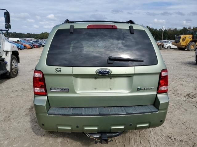 2008 Ford Escape HEV