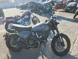 Ducati Scrambler Desert Sled salvage cars for sale: 2023 Ducati Scrambler Desert Sled