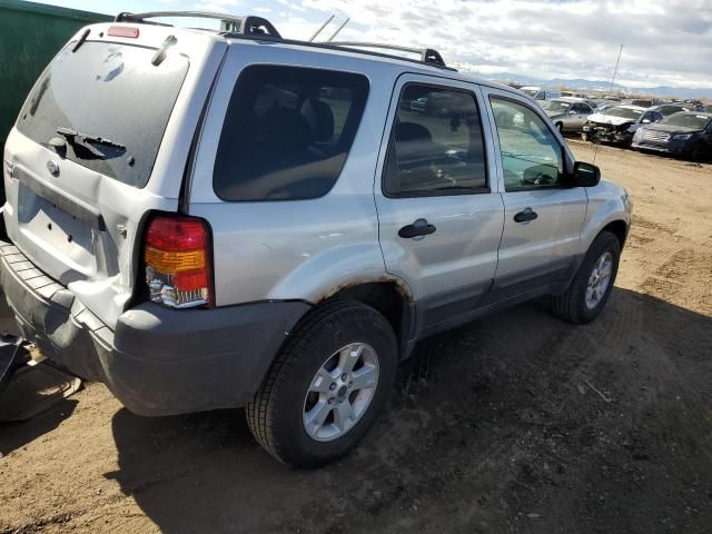 2005 Ford Escape XLT