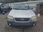 2007 Ford Escape XLT