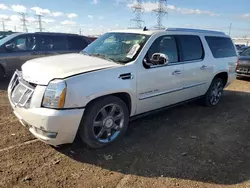 Salvage cars for sale at Elgin, IL auction: 2011 Cadillac Escalade ESV Premium