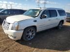 2011 Cadillac Escalade ESV Premium