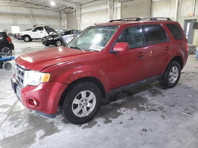 2011 Ford Escape Limited