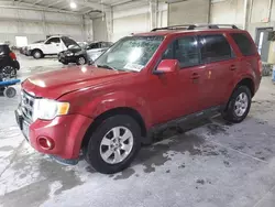 Ford salvage cars for sale: 2011 Ford Escape Limited