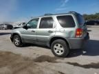 2006 Ford Escape XLT