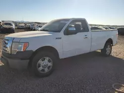 Salvage trucks for sale at Phoenix, AZ auction: 2012 Ford F150