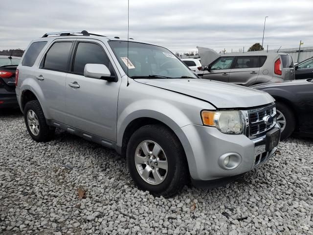 2009 Ford Escape Limited