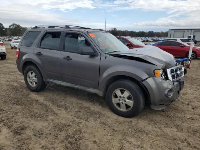 2009 Ford Escape XLS