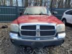 2005 Dodge Dakota Quad SLT