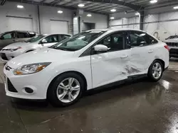 Salvage cars for sale at Ham Lake, MN auction: 2014 Ford Focus SE