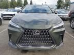 2023 Lexus NX 350