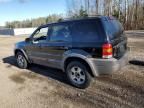 2001 Ford Escape XLT