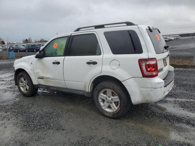 2008 Ford Escape HEV