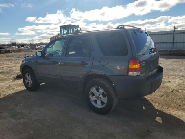 2006 Ford Escape XLT